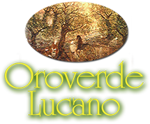 logo Frantoio Oleario Oroverde Lucano
